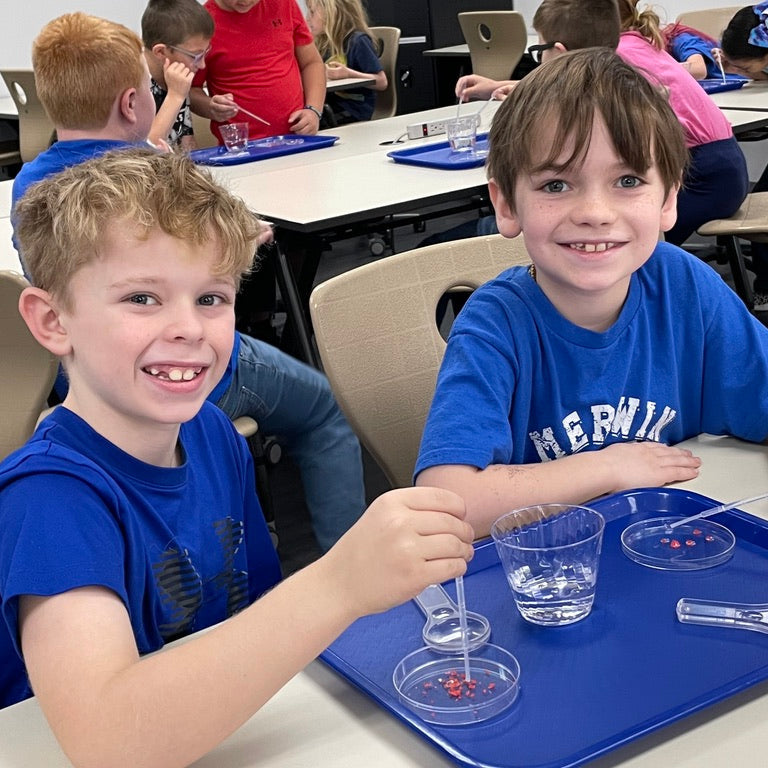 3rd Grade School Programs