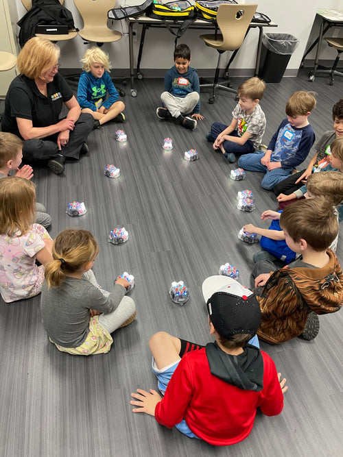 BLUE-BOT PROGRAMMING ROBOTS
